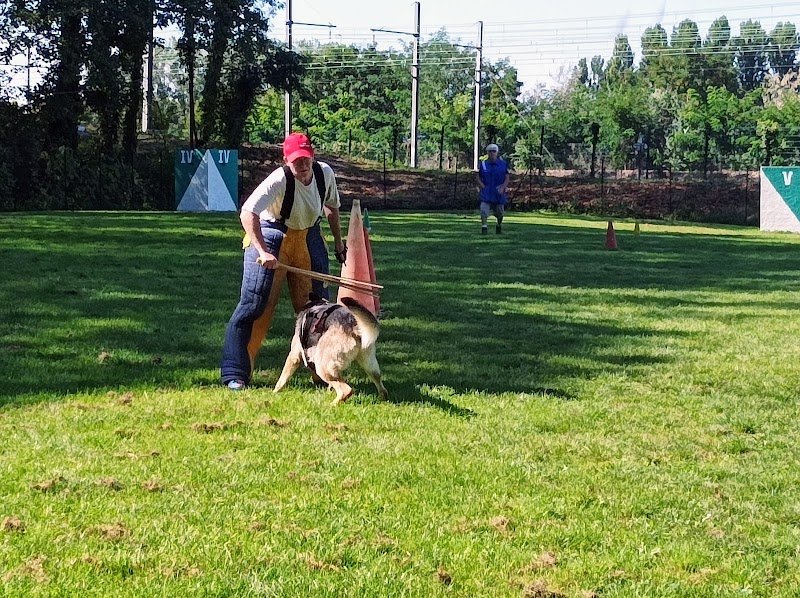 Club des Amis du chien de Sucy - photo 3