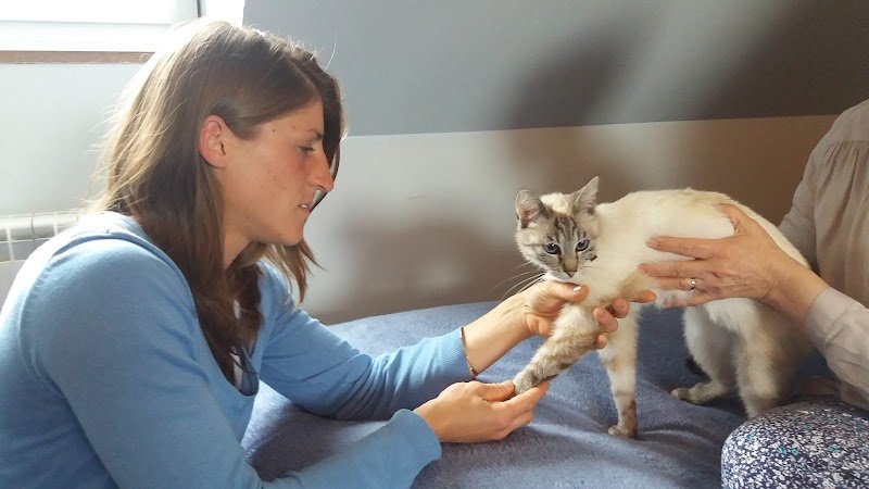Céline Lepetit, masseuse équin-canin, praticienne en bioresonance(oise- val d'oise - Normandie)