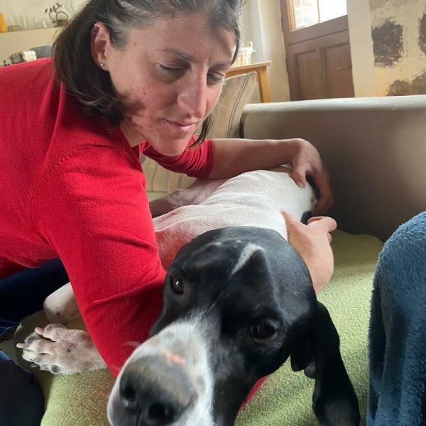 Céline Lepetit, masseuse équin-canin, praticienne en bioresonance(oise- val d'oise - Normandie) - photo 3