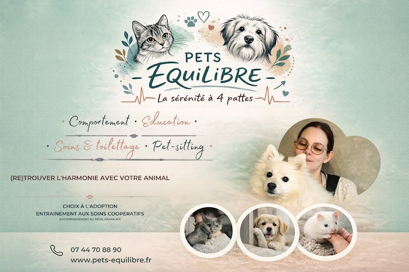 Pets Equilibre - Comportementaliste et éducateur, pet-sitter & soins animaliers - photo 1