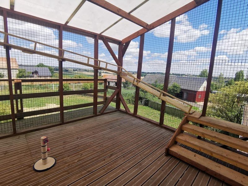 K6 pension canine et féline - photo 1