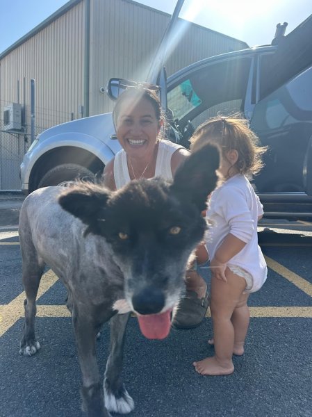 K6 pension canine et féline - photo 2