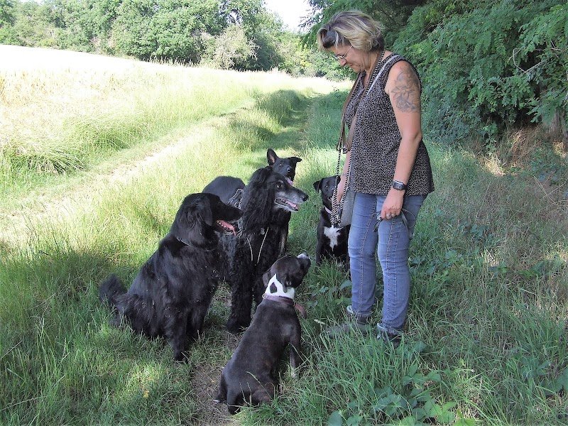 CANID'INSTINCT EDUCATEUR CANIN - photo 2