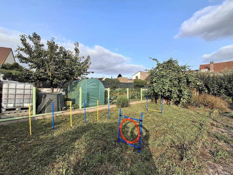 DogEducsport by Christine - photo 2