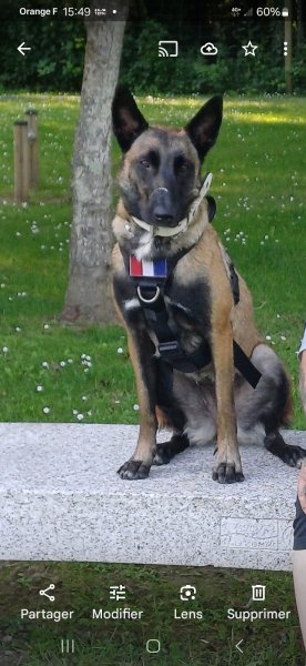 Education canine Association bounty et Sandrine - photo 1