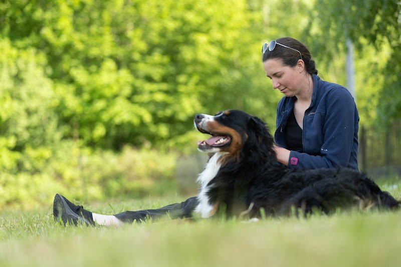 La Rou’Tine Canine - Comportementaliste Canin - photo 2
