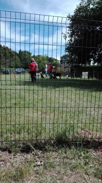 Club canin de Freneuse - photo 1