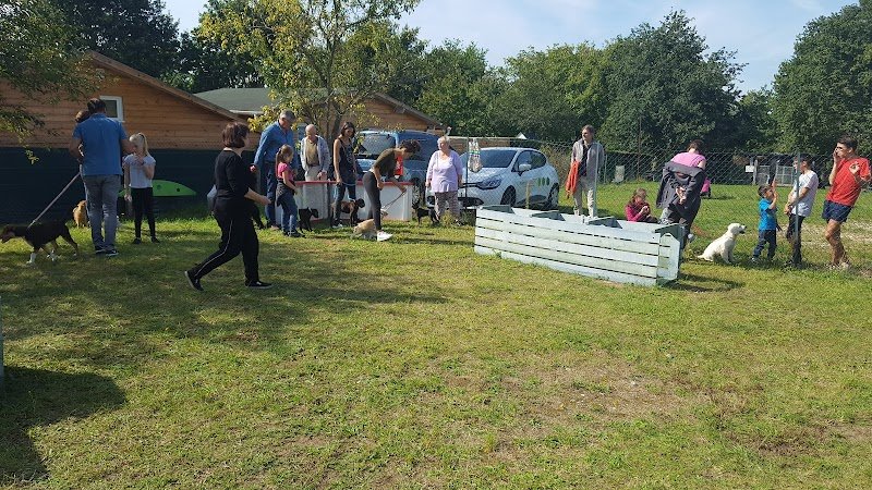 Club canin de Freneuse - photo 3