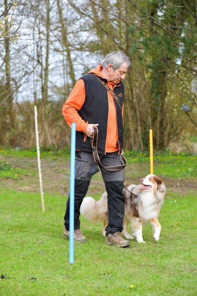 DOGEDUCSPORT - photo 3