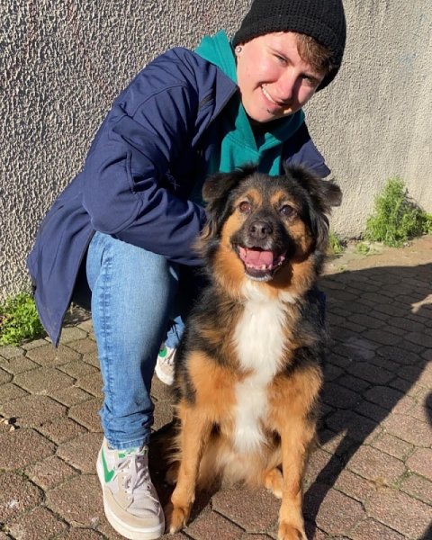 Caractère De Wouf - Comportementaliste éducateur canin