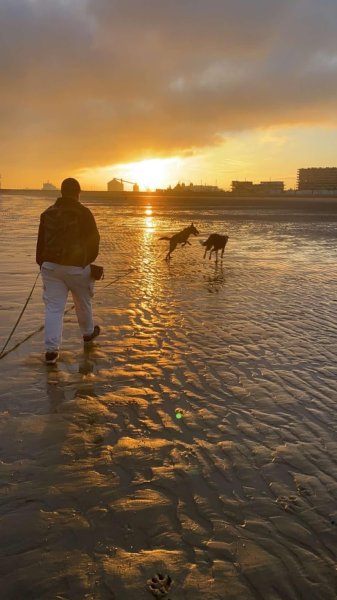 Caractère De Wouf - Comportementaliste éducateur canin - photo 3