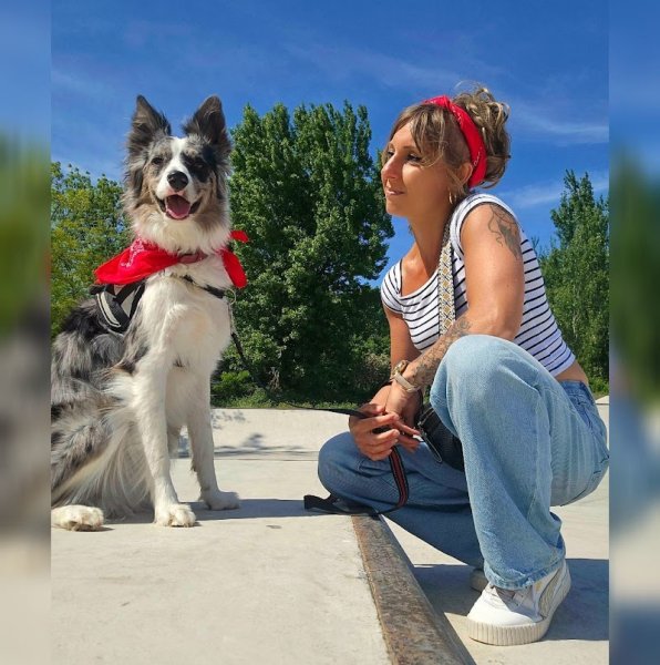 Pédadog by Ali et Nilah Educateur Canin Calais