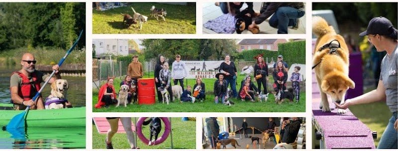 The Walking Dog Centre de Loisirs Canin