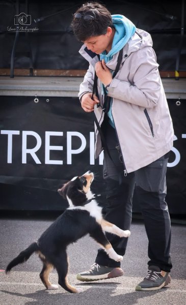 PédaDog By Mariette - Éducateur canin - Boulogne sur mer - photo 3