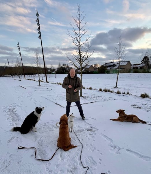 4 pattes et une queue: Educateur canin - pension canine - photo 2