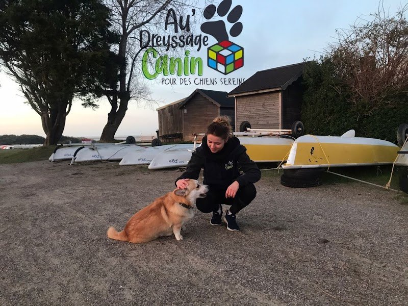 Au'dreyssage canin Perrault audrey Éducatrice comportementaliste canin - photo 3