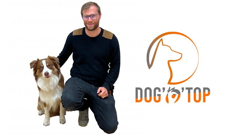 Dog'O Top - Educateur canin, Comportementaliste, Dresseur - Hesdin, Berck, Etaples