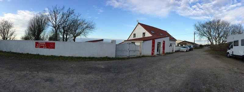 Peggy Bedu - Aux Bonheurs des Chiens - Toilettage & Pension & Education - photo 1