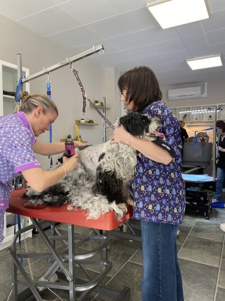 AMOUR CANIN ,centre de formation - photo 3