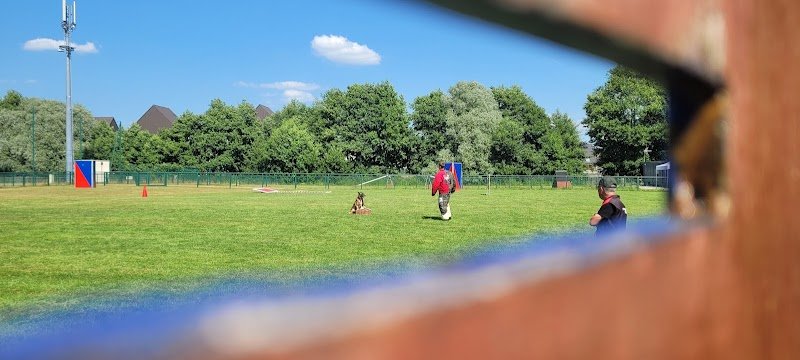 Sports et Loisirs Canins - photo 1
