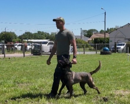 Dogpassion-éducateur canin - photo 1