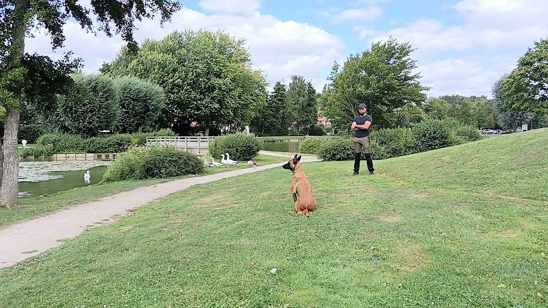 Dogpassion-éducateur canin - photo 2