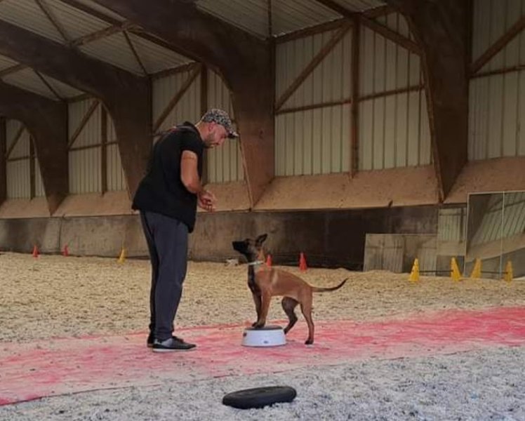Dogpassion-éducateur canin - photo 3