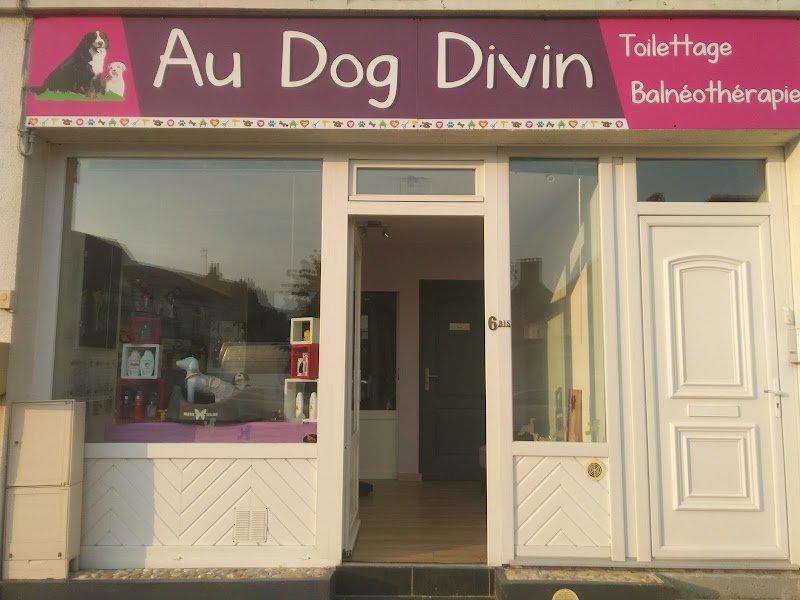 au dog divin