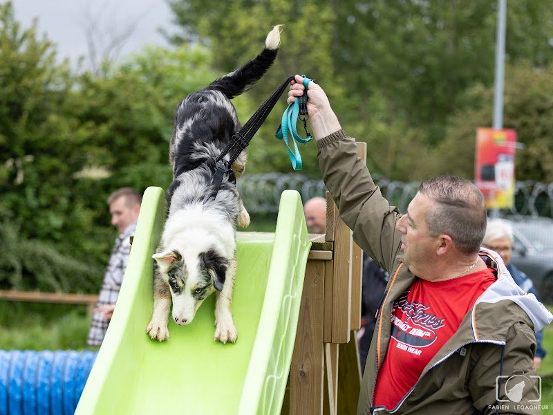 Caniland Parc de Loisirs Canin - photo 1