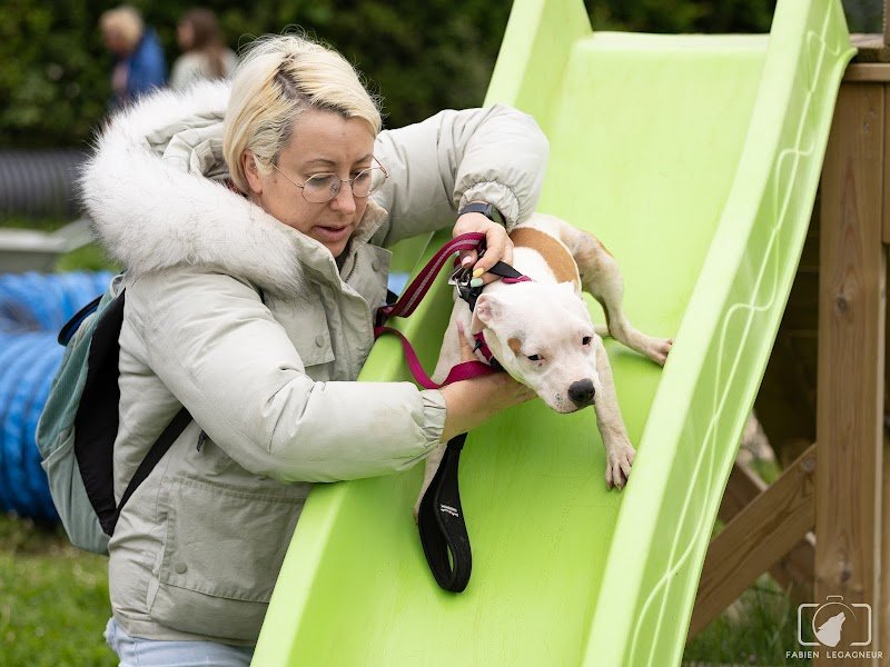 Caniland Parc de Loisirs Canin - photo 2