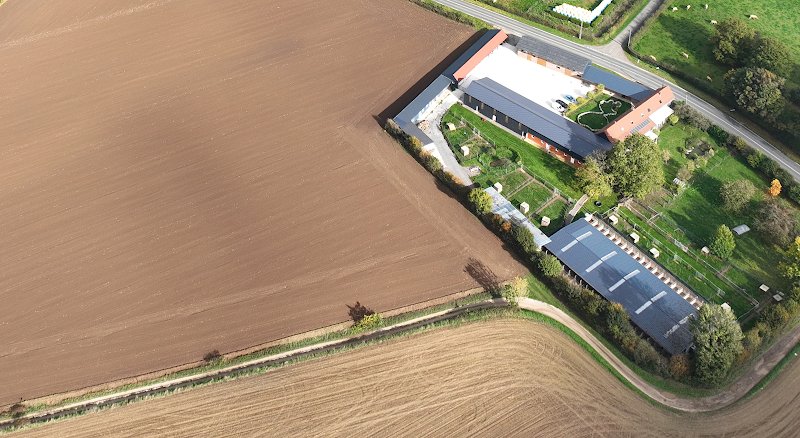 Éleveur chien - Élevage canin Pas-de-Calais - La Plume Herlinoise