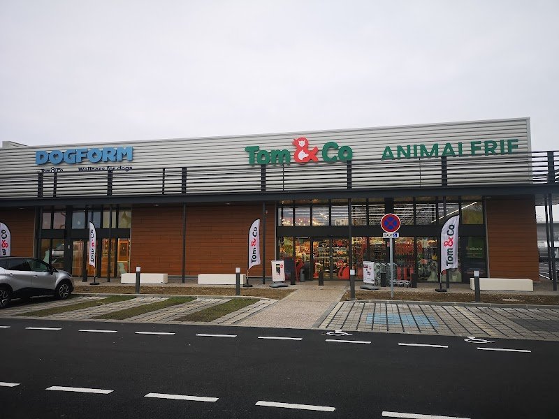 Tom&Co Auchy Les Mines - Dogform