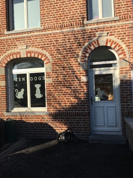 Zen DOG'S & Co - photo 1
