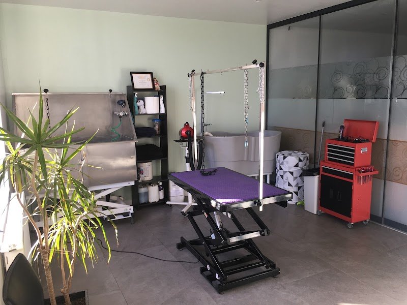 Zen DOG'S & Co - photo 2