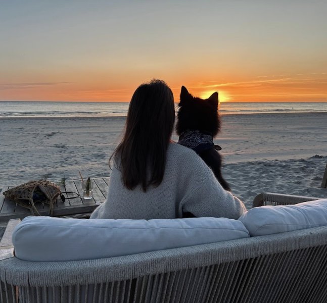 Les Aristochiens - photo 1