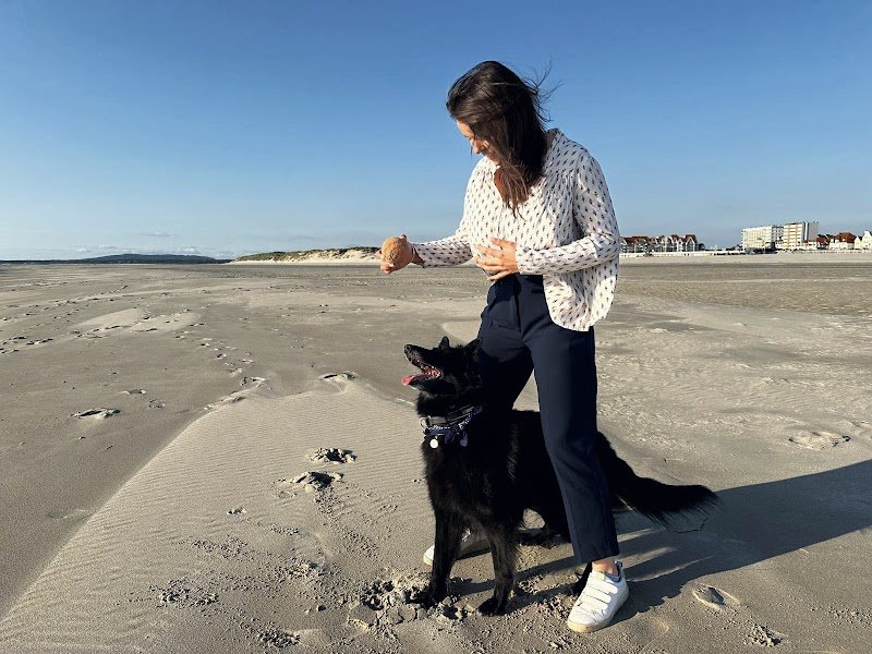 Les Aristochiens - photo 3