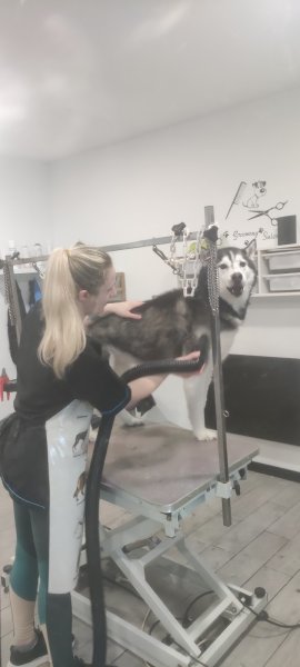 Tendresse Canine - photo 3