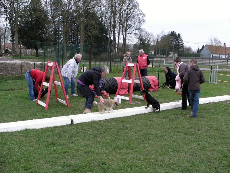 Domvast Canin Club - photo 1