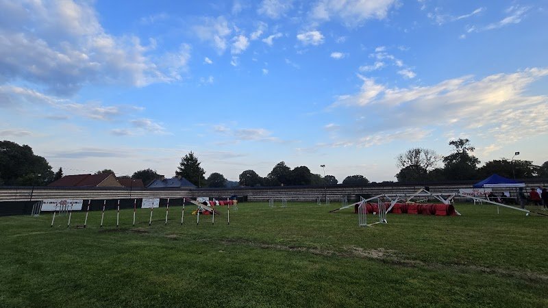 Domvast Canin Club - photo 2