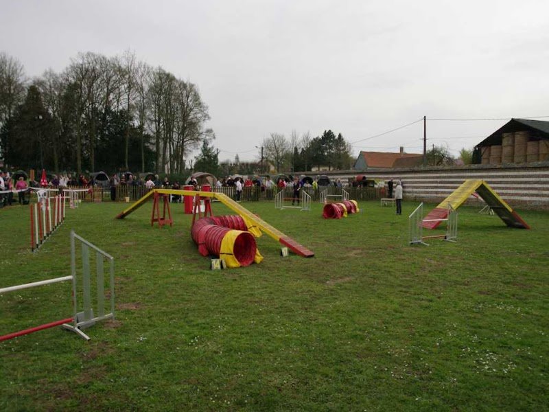 Domvast Canin Club - photo 3