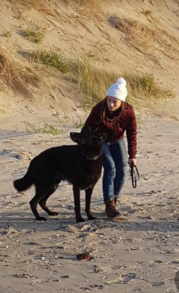 Cats&Dogs - Petsitter à votre domicile - photo 2