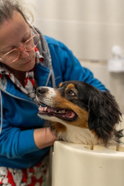 La Fée Canine - photo 2