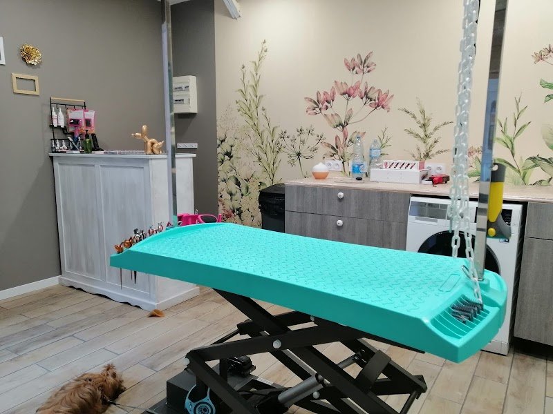 La Fée Canine - photo 3