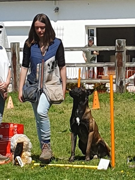 Etholologie Dog - photo 1