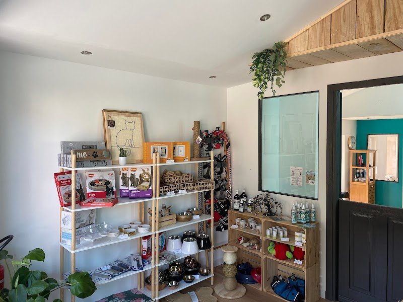 L'Ame Canine - photo 2