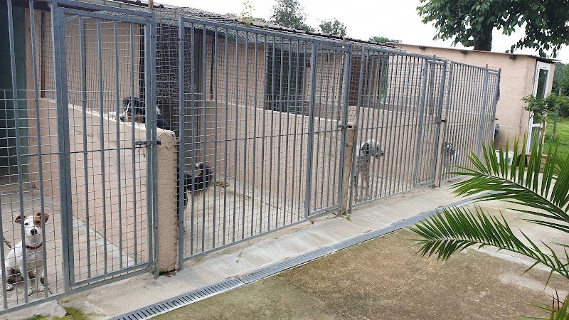 Pension canine, toilettage. Au Charme Canin