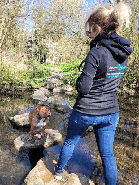 Éducateur canin Respectdogs - photo 3