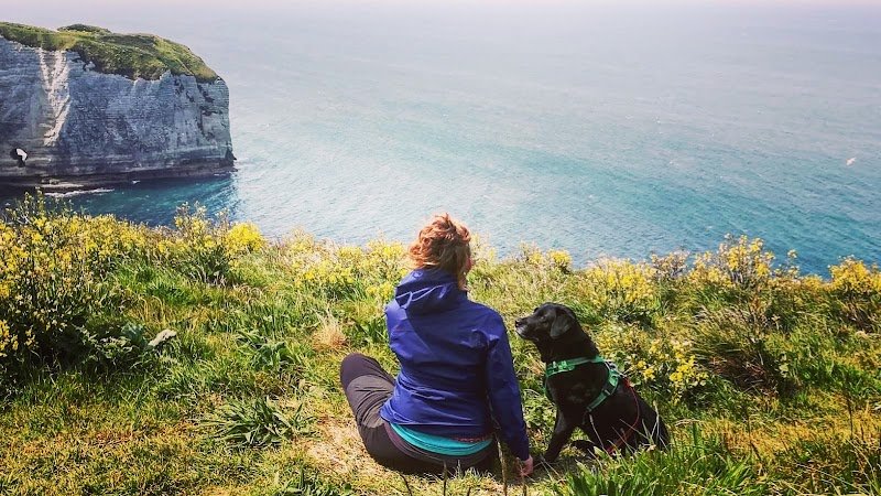 Hom'animo Éducateur-comportementaliste canin