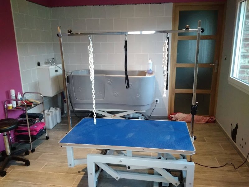 Aux ch'tis canins - photo 3