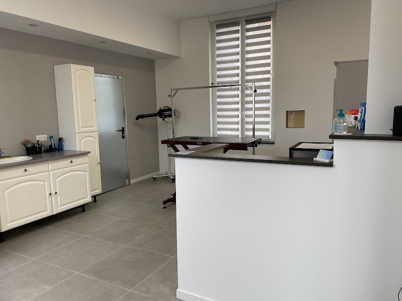 Une vie de chien - photo 1